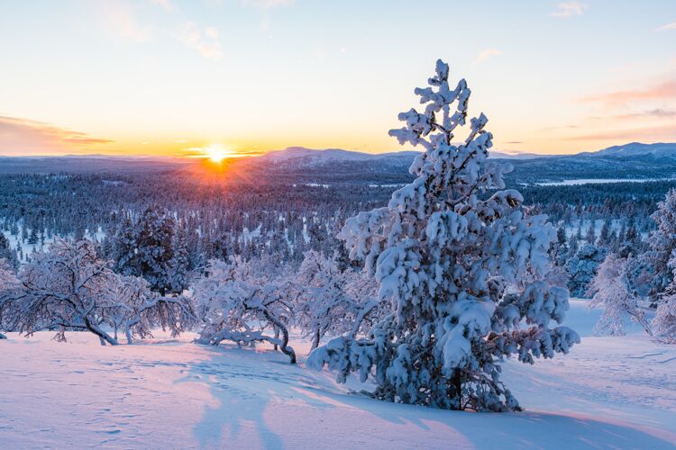 山挪威日落时分 一片覆盖着白雪的森林令人叹为观止森林风景斯堪的纳维亚