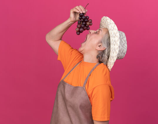 束着饥肠辘辘的上了年纪的女园丁戴着园艺帽 手里拿着一堆葡萄 假装在吃假装帽子老人
