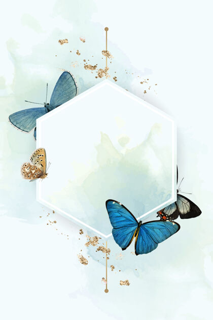 昆虫六边形框架与蓝色蝴蝶图案的背景蛾动物蓝色蝴蝶
