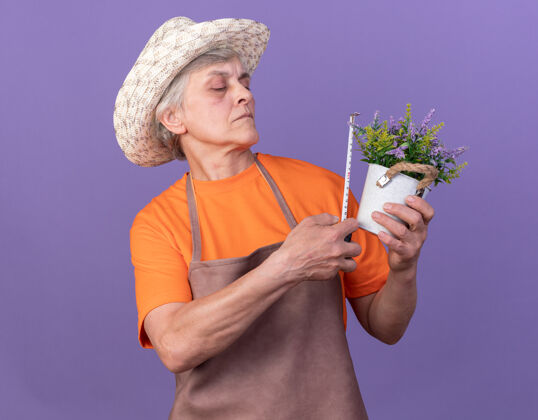 量具自信的上了年纪的女园丁戴着园艺帽用卷尺量花盆花园帽子园艺