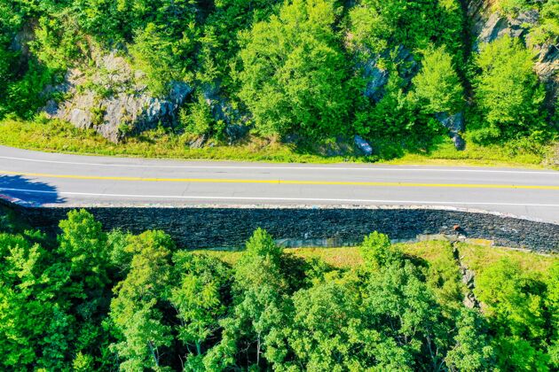 远足俯瞰一条穿过弗吉尼亚山脉绿色森林的道路风景风景风景
