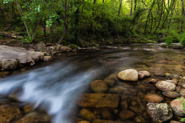 维拉西班牙埃斯特雷马杜拉 卡塞雷斯 贾拉伊兹德拉维拉河流水的美丽镜头自然森林丝绸