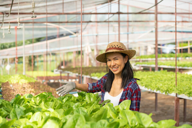 保持快乐地在蔬菜水培农场工作的亚洲女农民在温室农场微笑着检查蔬菜沙拉质量的女农民的画像莴苣田地检查