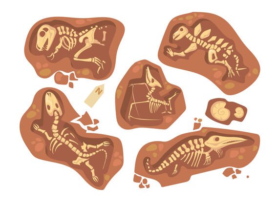 生物卡通不同的恐龙化石集平面插图头骨考古学层