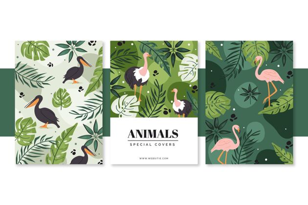 业务手绘野生动物封面收藏动物野生动物封面
