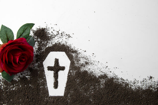 纹理棺材的正面图 黑色的土壤和白色表面上的红花前面表面景观