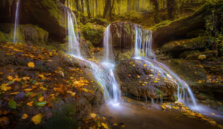 石头秋天 岩石上的小瀑布落满了落叶民族树美丽