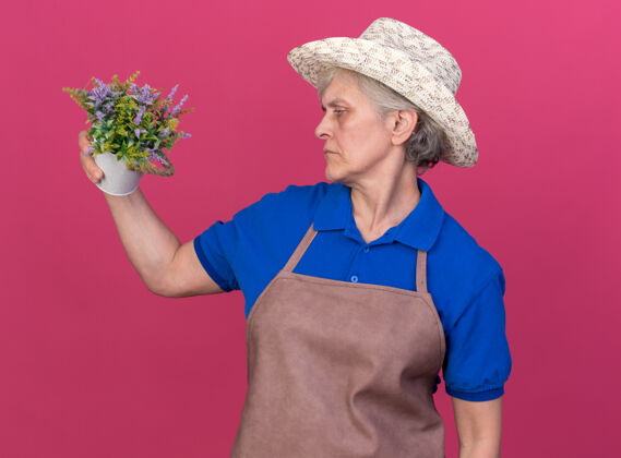 帽子恼怒的上了年纪的女园丁戴着园艺帽 捧着粉色的花盆看着花园园艺花盆