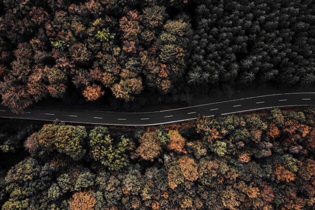 路空中拍摄的森林中被树木环绕的道路国家线森林