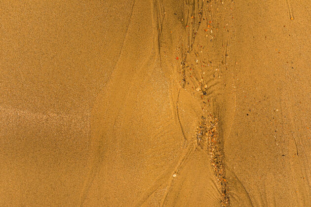 荒芜特写与潮汐的方式和沙滩上的贝壳全框架纹理背景沙空自然纹理