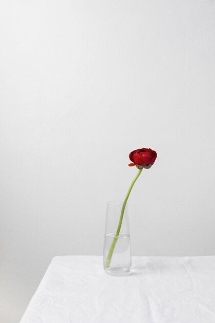 自然花瓶内花的静物布置静物室内花
