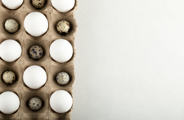 禽类生鸡肉和鹌鹑蛋装在纸箱里有机食品新鲜食品
