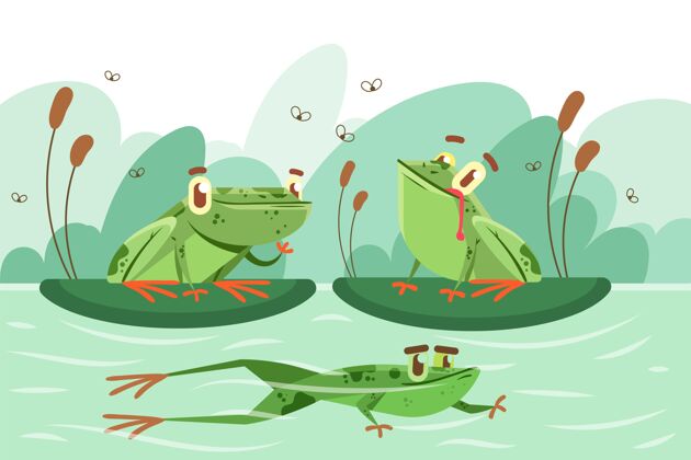 动物水中的有机青蛙野生可爱群体