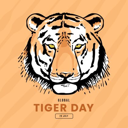 老虎手绘全球老虎日插画活动野生动物意识