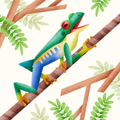 绿色绿色青蛙在其自然栖息地的插图自然野生青蛙