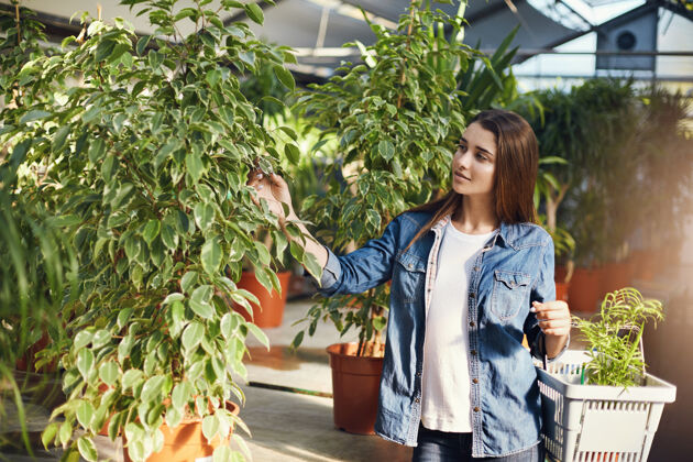 仓库穿着蓝色衬衫在市场上买植物的女孩女孩爱好种植