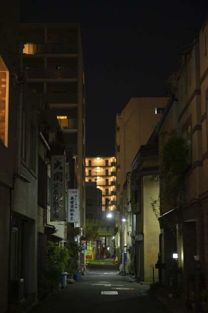 城市夜晚有灯光的狭窄日本街道建筑大都市建筑