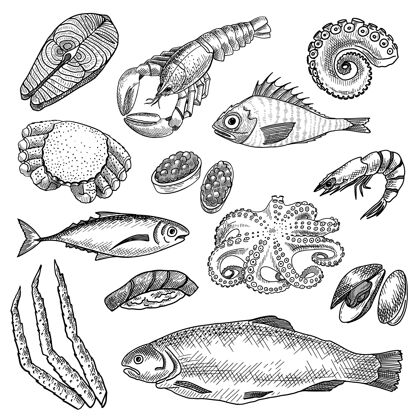 海洋海鲜素描集手绘海鲜龙虾