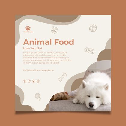 营养动物食品方形传单模板动物美味随时打印