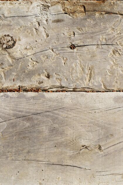 墙纸特写木材纹理背景木头特写背景