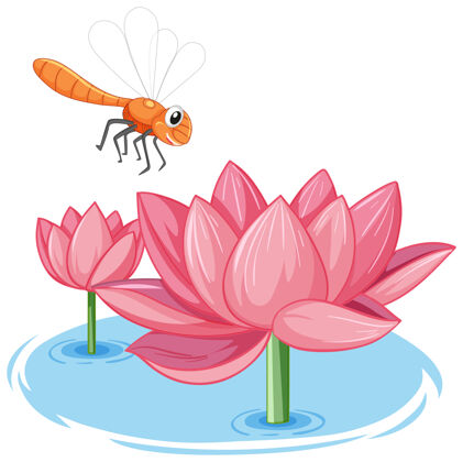 花瓣白色背景上粉莲花卡通风格的蜻蜓爬行动物腿小