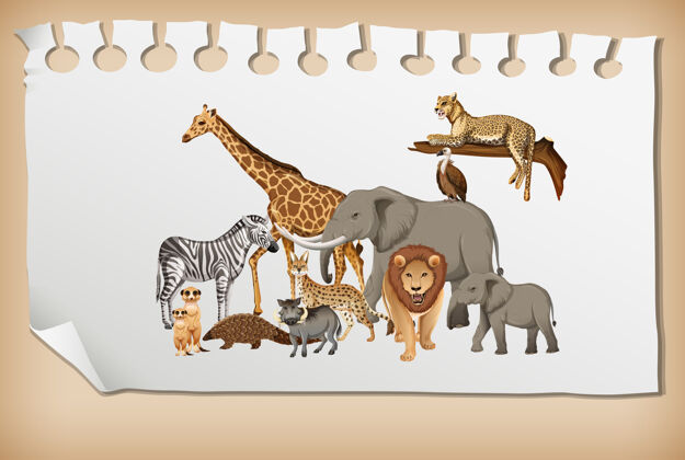 动物一群非洲野生动物在纸上食肉动物外面生活