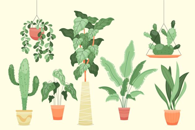 植物收集有机平面室内植物系列平面植物自然