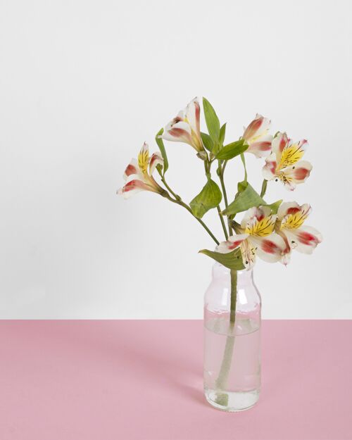 叶子在桌上的花瓶里开花开花叶花
