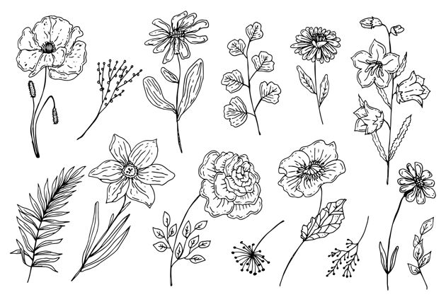 花卉雕刻手绘花卉收藏开花收集分类