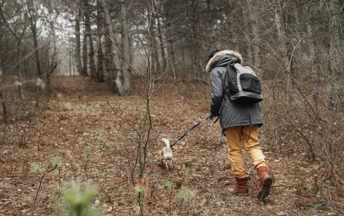 徒步旅行森林里的走狗秋天旅行可爱