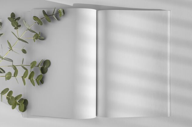 内容平放自然杂志封面模型与树叶组成杂志设计叶子蔬菜