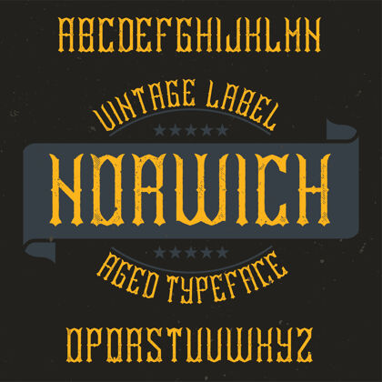 覆盖名为诺维奇的复古标签字体书写手写背景