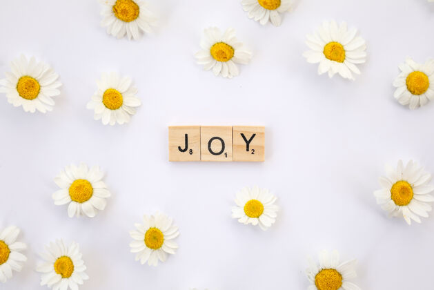 文字平面图像以白色表面上的木制字母中的文字joy为特色 周围环绕着雏菊欢呼快乐春天