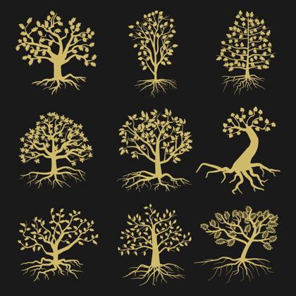 细枝树的轮廓与树叶和根在黑色背景上孤立自然形状的树木插图树干环境木
