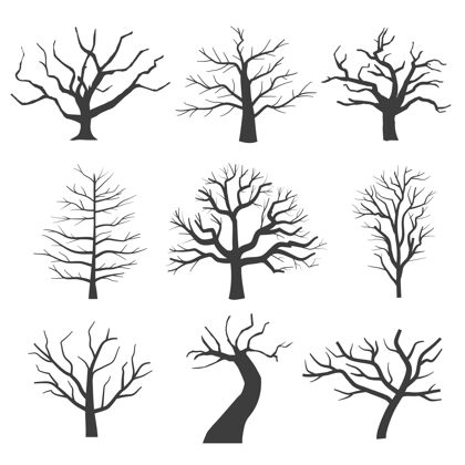根枯树剪影垂死的黑色吓人的树木森林插图自然垂死的老树集木头树枝环境