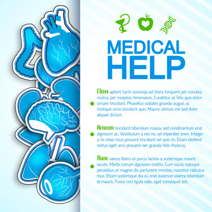 帮助彩色医疗帮助海报与人体器官 包括心脏的许多图像图像海报医疗