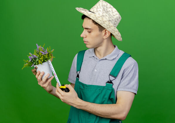 花盆自信的年轻男园丁戴着园艺帽 用卷尺测量花盆 将花盆隔离在绿色背景上 并留有复制空间年轻空间花园