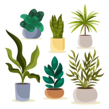 室内植物有机平面室内植物系列蔬菜植物平面设计