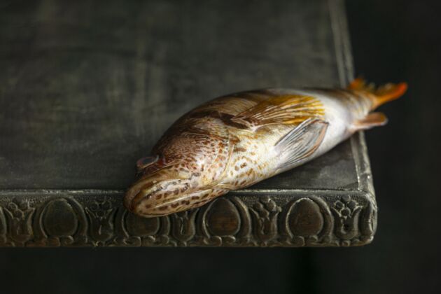 鱼生鱼片放在桌子上高角度食物细节美食