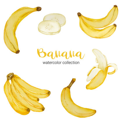 切割香蕉在水彩画收藏中 装满水果并切成块去壳成熟可爱多彩