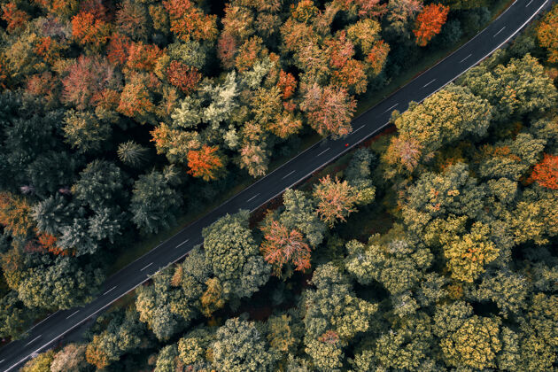 天空中拍摄的森林中被树木环绕的道路路空中土地