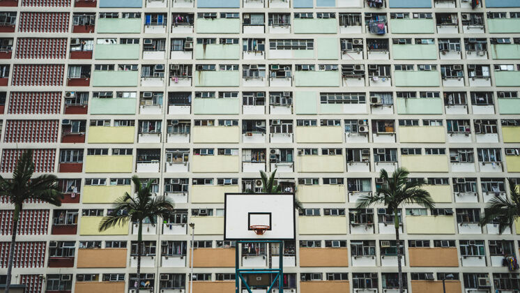 海报白色和黑色便携式篮球圈附近高大的树木和混凝土建筑在白天高楼拼贴街道