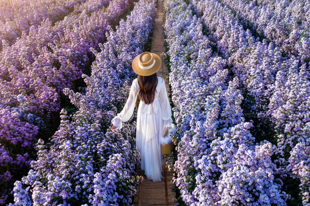 浪漫穿着白裙子的漂亮女孩在玛格丽特花丛里散步季节花瓣自然
