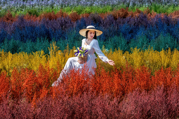 服饰美丽的白衣女孩坐在彩虹花的田野里 清迈紫菀亚洲旅程