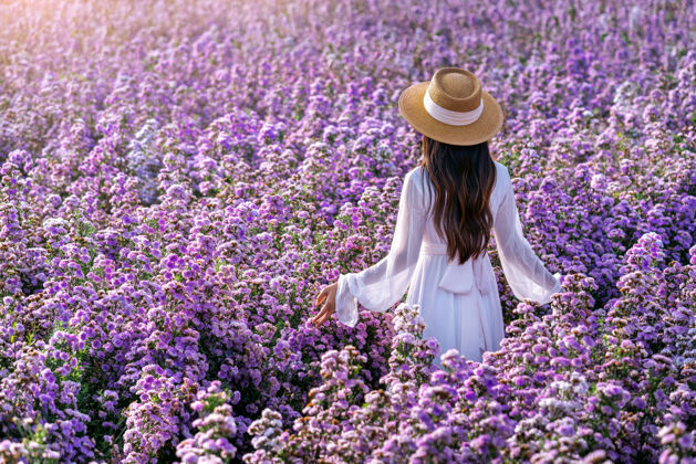 浪漫美丽的白衣女孩在玛格丽特的花丛中尽情享受紫罗兰时尚田野