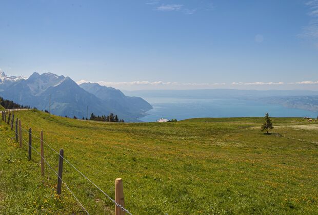 景观瑞士拉沃全景 有栅栏和绿草旅行自然目的地