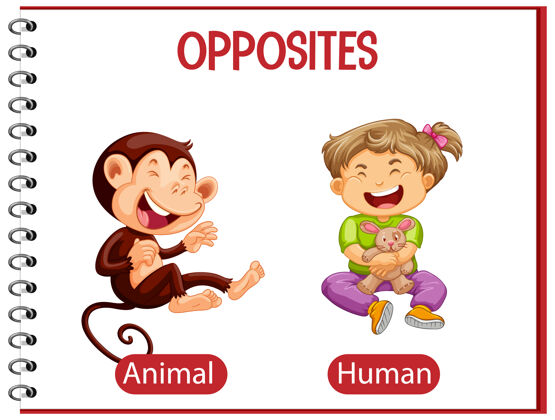女孩与动物和人类相反的词猴子词汇动物