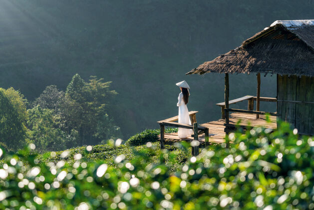 农业穿着越南传统文化的亚洲妇女在泰国清迈的doiangkhang的绿茶地里美丽越南穿