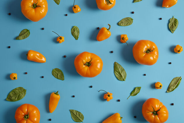 味道拍摄成熟的黄色西红柿 辣椒粉 胡椒粉和蓝色背景上的绿色罗勒叶收集新鲜蔬菜和香料烹饪素食天然食品的概念生的顶部西红柿