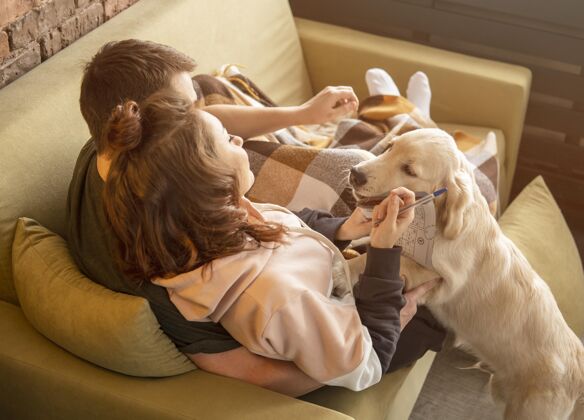 生活方式一对夫妻坐在沙发上 带着狗关系可爱室内